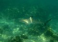 IMG_2672 (3)